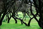 View within Simiens National Park VI